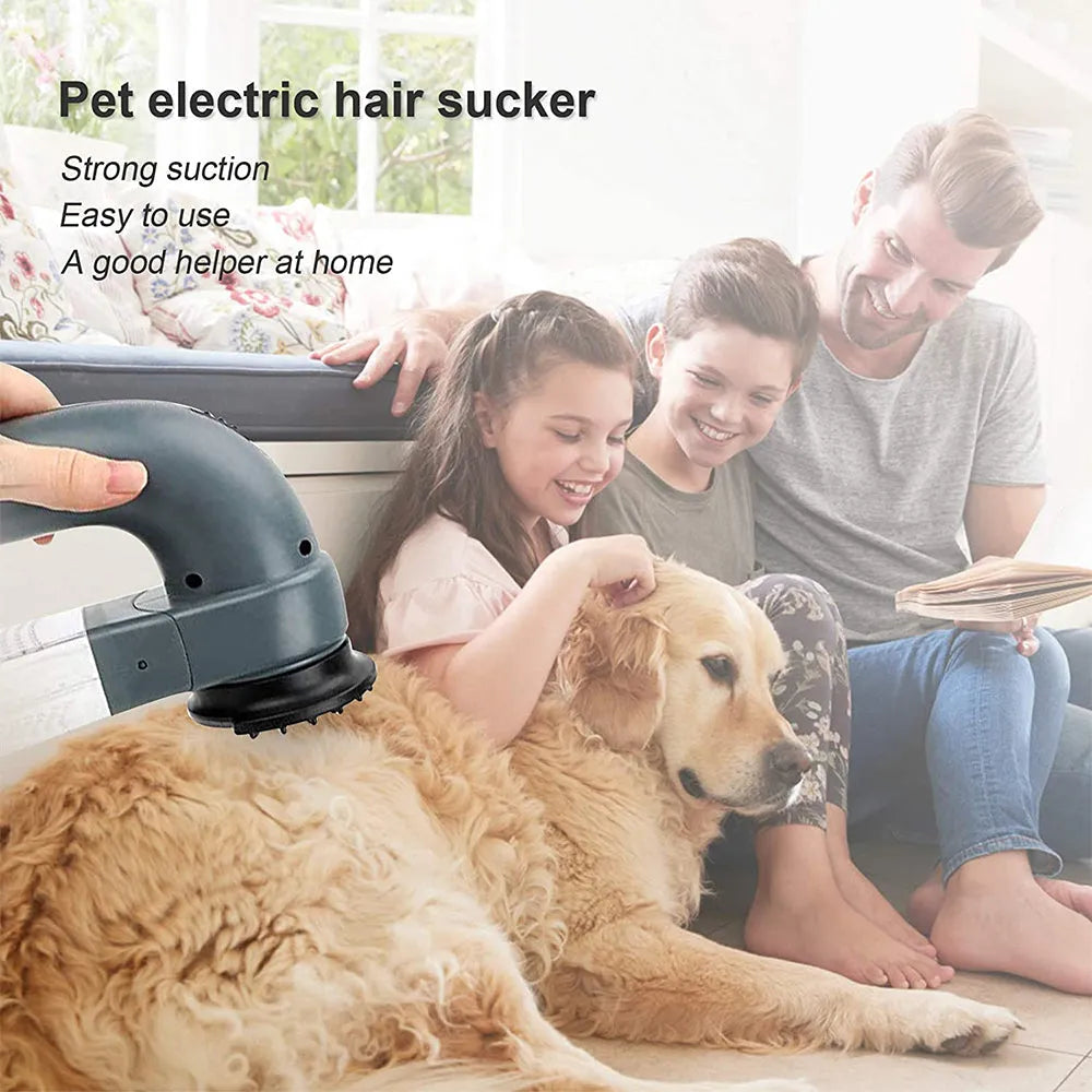 Vibe Geeks Electric Pet Hair Vacuum Removing Machine