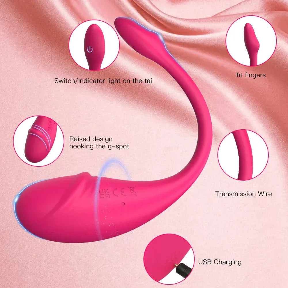 Bluetooth Wearable Kegel Ball Vibrator For Women