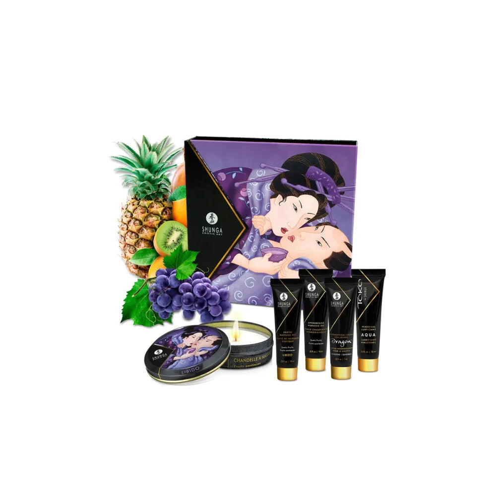 Pleasure Kit By Shunga